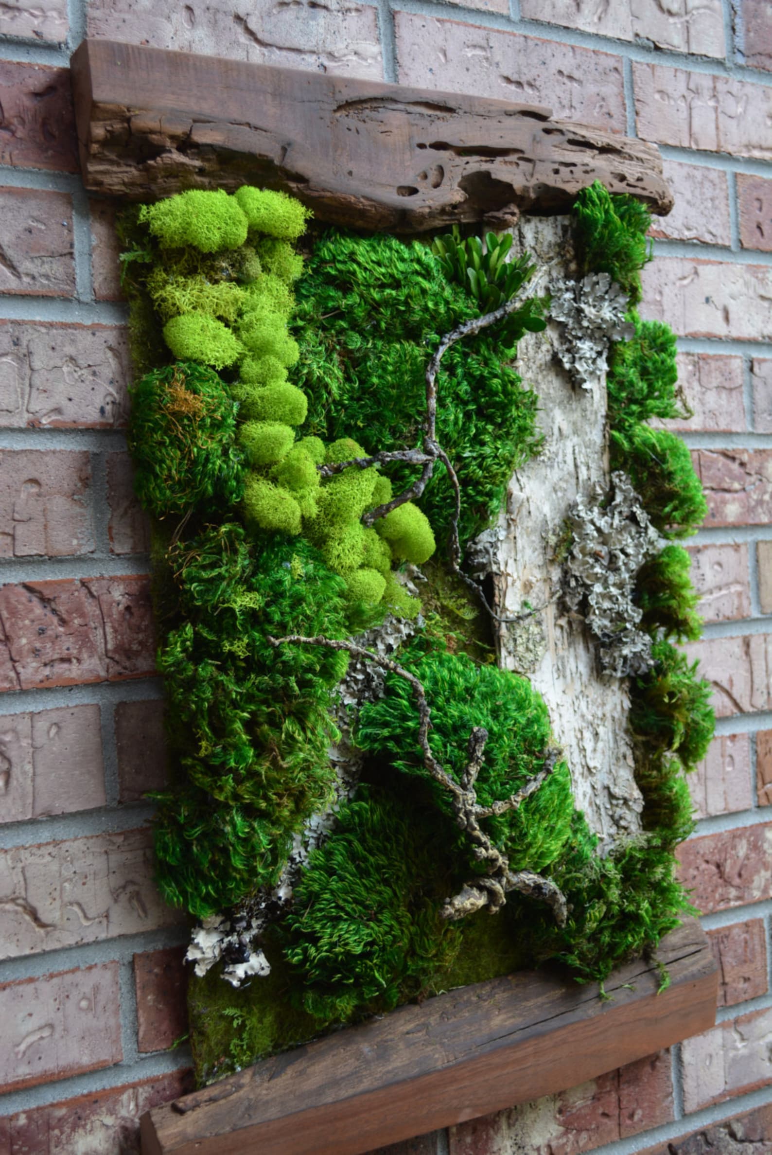 How To Make An Outdoor Moss Wall at Gary McGehee blog