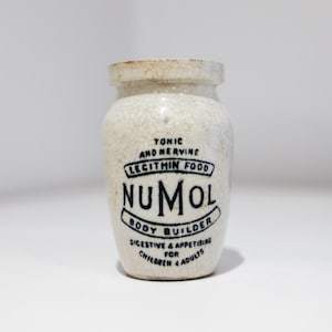 Antico vaso inglese in gres smaltato Numol, piccolo, per body builder, decorazione per la casa, beige