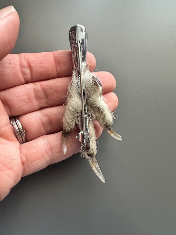 Antique Mizpah lucky rabbits foot real Grouse foo… - image 3