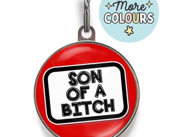 Médaille amusante pour garçon, fils de pute - Médaille pour chien Attitude - Charme de collier de chien impertinent - Médaille humoristique pour animal de compagnie - Médaillon personnalisé pour chien