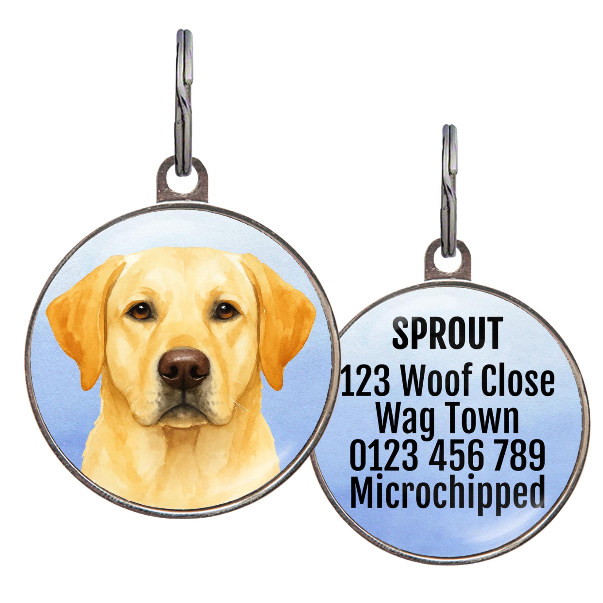 male yellow lab collar