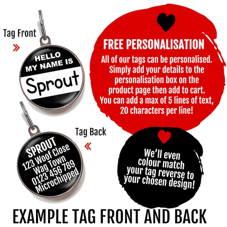 Indoor Only Cat Tag for Cats If I'm Out I'm Lost Etsy UK