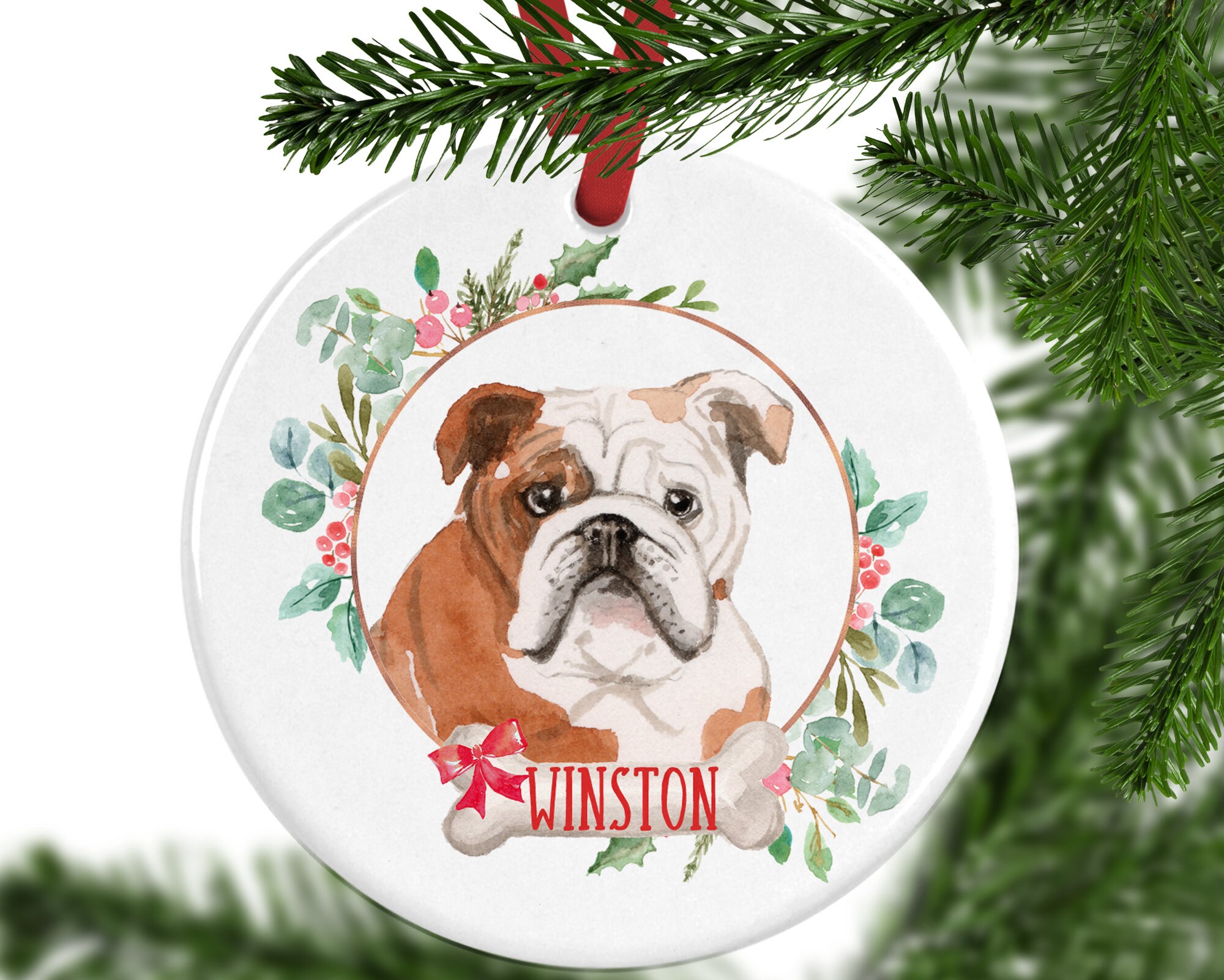 cara menanam hairgrass aquascape