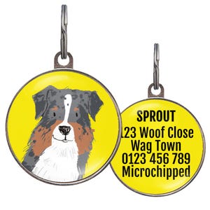 Australian Shepherd Dog Tag – Blue Merle Aussie ID Tag – Custom Dog Name Tag for Blue Merle Australian Shepherd – 6 Background Colors