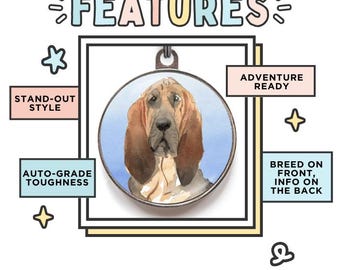 Bloodhound Dog ID Tag – 4 Background Colors – Personalized Collar