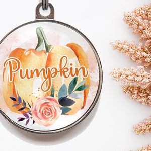 Puede incluir: Un adorno de vidrio redondo con una pintura de acuarela de una calabaza con la palabra "Pumpkin" escrita en una fuente decorativa. La calabaza está rodeada de un arreglo floral con hojas y una rosa.