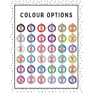 Op de afbeelding: Een kaart met 48 kleuropties voor een gepersonaliseerd hondenpenning. Elke optie is een cirkel met een andere kleur en een woord erin. De kleuren omvatten zwart, marineblauw, rood, ultraviolette, groen, oranje, grijs, paleisblauw, roze, paars, limoen, geel, wit, blauw, koraal, iris, arcadia, lila, goud, hemelsblauw, babyroze, mauve, eiland, hallo geel, druif, galaxie, humeurig blauw, groen, aqua, gebrande oranje, lollypop, hubba bubba, roos, bewolkt blauw, dromerig blauw en wilgenblauw.