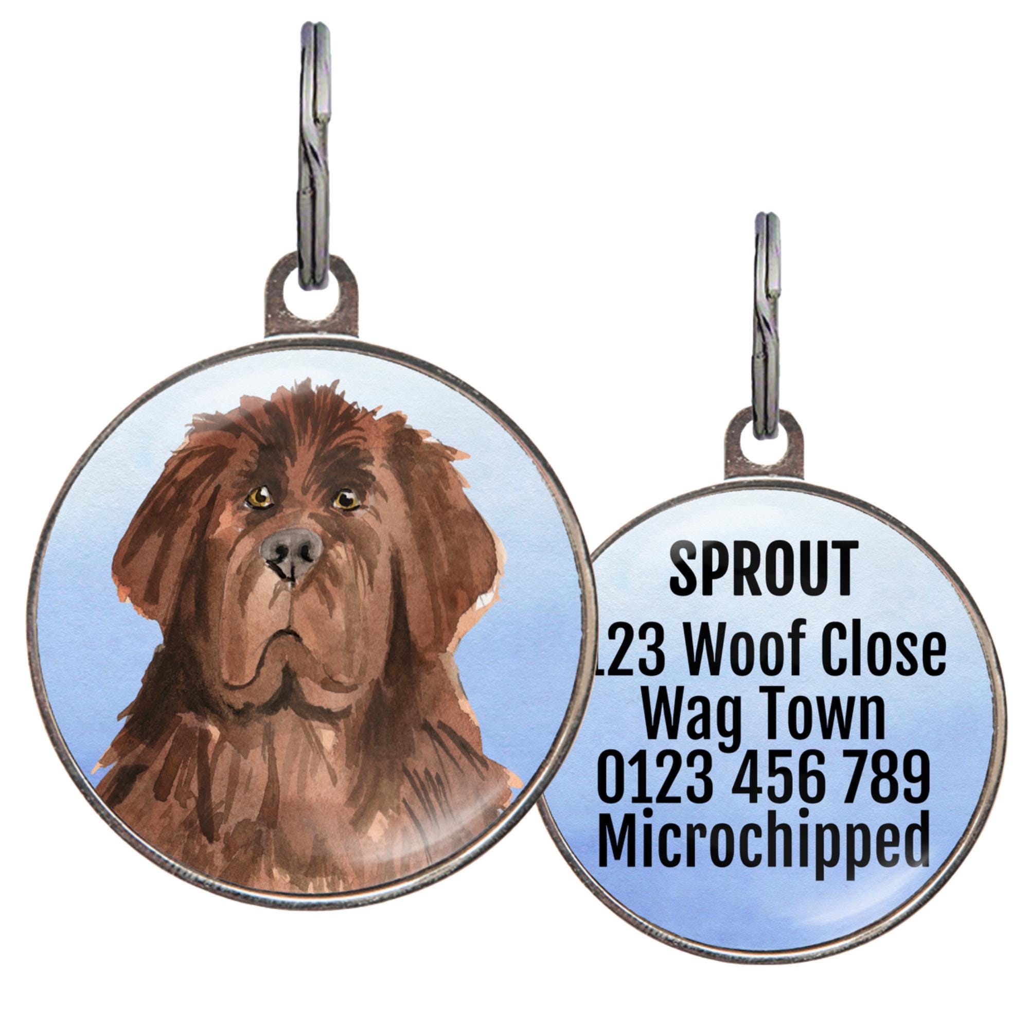 犬のためのIDタグ犬のタグ 卸売100Xパーソナライズブランク犬 ID.タグカスタマイズされた犬ネームタグ電話ペット ID.タグ犬猫 卸売20  PCSカスタム猫と犬のステンレス鋼IDタグパーソナライズされたペットの空白タグ,a 迷子札 犬 猫 ペットIDタグ 名入れ無料 シリコンゴム ... 犬のためのIDタグ犬のタグ 卸売100Xパーソナライズブランク犬 ID.タグカスタマイズされた犬ネームタグ電話ペット ID.タグ犬猫