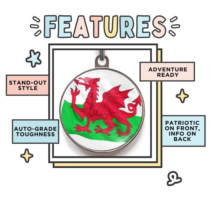 Bandiera Di Galles Che Ondeggia Su Un Palo Metallico Illustrazione Vettoriale - Illustrazione Di - Foto 2