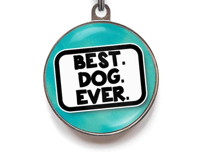 Funny Dog Tag For Dogs "Best Dog Ever" Custom Metal Tag, Dog Lover Gift | Personalized Pet Tag, 36 Colors, 2 Sizes image 2
