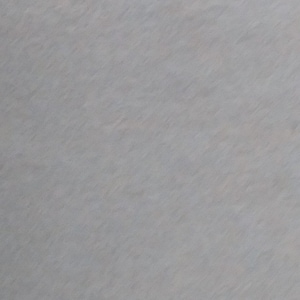 May include: A plain, light gray background with a subtle, textured pattern.