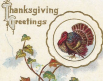 Thanksgiving Greetings Postcard Number 927 Turkey Leaves Fruit Divided Back