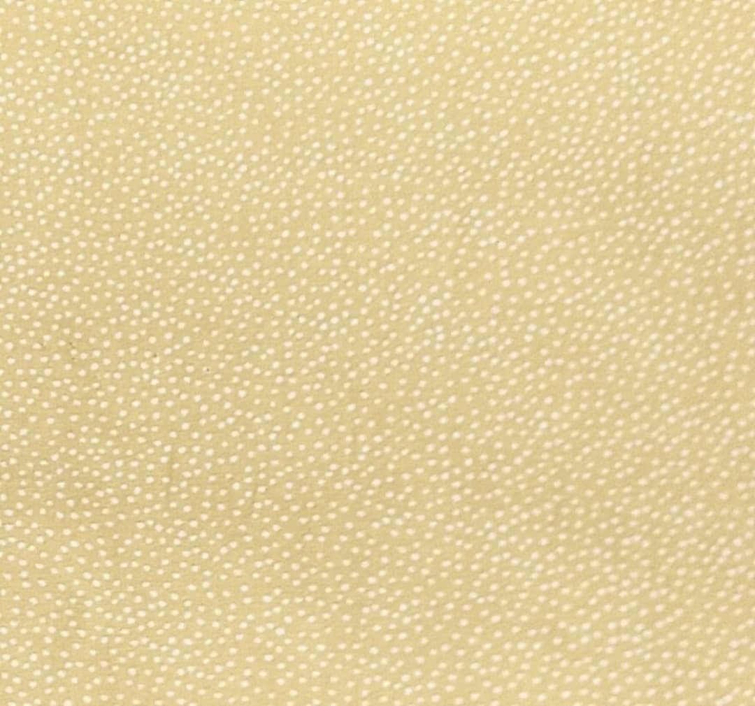 Dots Windham Quilt Fabric 100 Cotton Paper Doll by the Yard Etsy