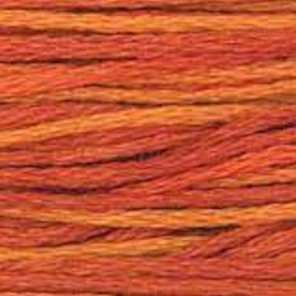 Terra Cotta Weeks Dye Works 2239 Six Strand Hand Dyed Floss 100% Cotton By the Skein