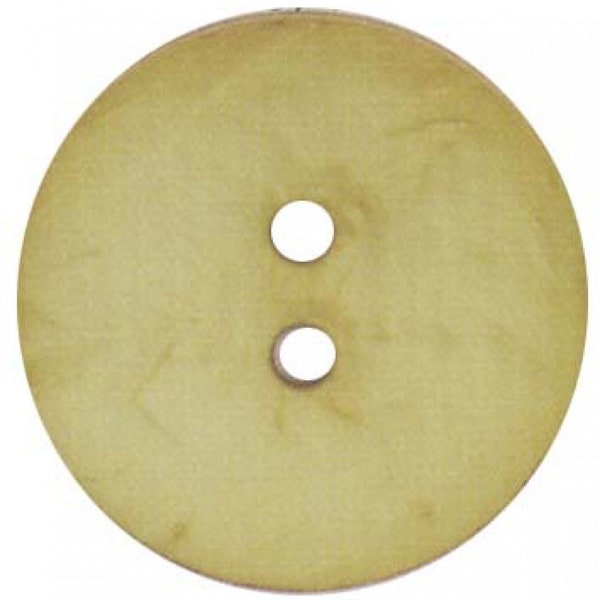 Pale Green Concave Round Polyamide Sew Thru Button 2-3/8" Sewing Supply
