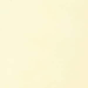 May include: A plain, off-white background.