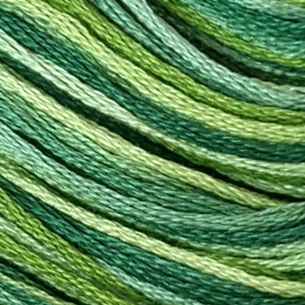 Lecien Seasons Six Strand Variegated Cotton Embroidery Floss Dark Greens Color 8024 Eight Meters By the Skein