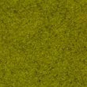 May include: Close-up of a textured, olive-green surface. The color is a muted, yellowish-green, with a slightly rough appearance. The texture appears to be granular or speckled, creating a subtle visual interest.