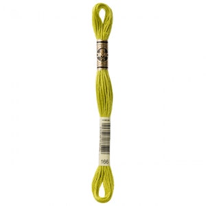 May include: A skein of DMC embroidery floss in color 166, a bright green.