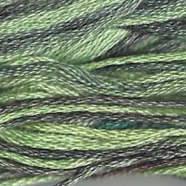 Cape Cod Weeks Dye Works 1181 Six Strand Hand Dyed Floss Classic Collection By the Skein