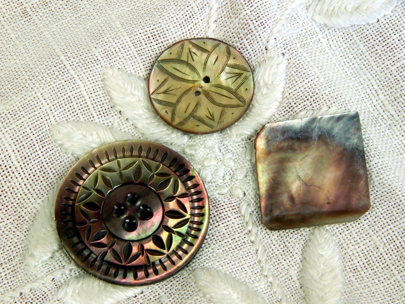 Shell Buttons Carved 3 Three Smokey Collector Buttons Vintage Iridescent Largest 38mm