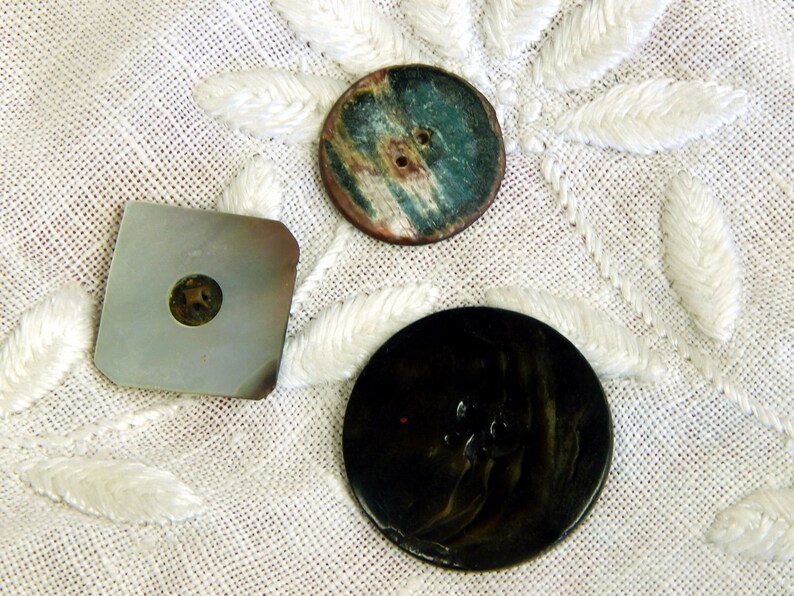 Shell Buttons Carved 3 Three Smokey Collector Buttons Vintage Iridescent Largest 38mm