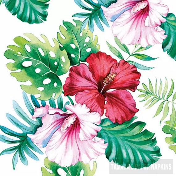 4 Decoupage Napkins Lunch Size Decoupage 1800 Designs Decoupage Serviettes CARIBBEAN ISLAND BLUE Floral Floral Napkins