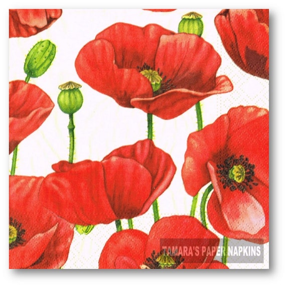 flowers design -365 poppies 4 Single paper decoupage napkins Poppy