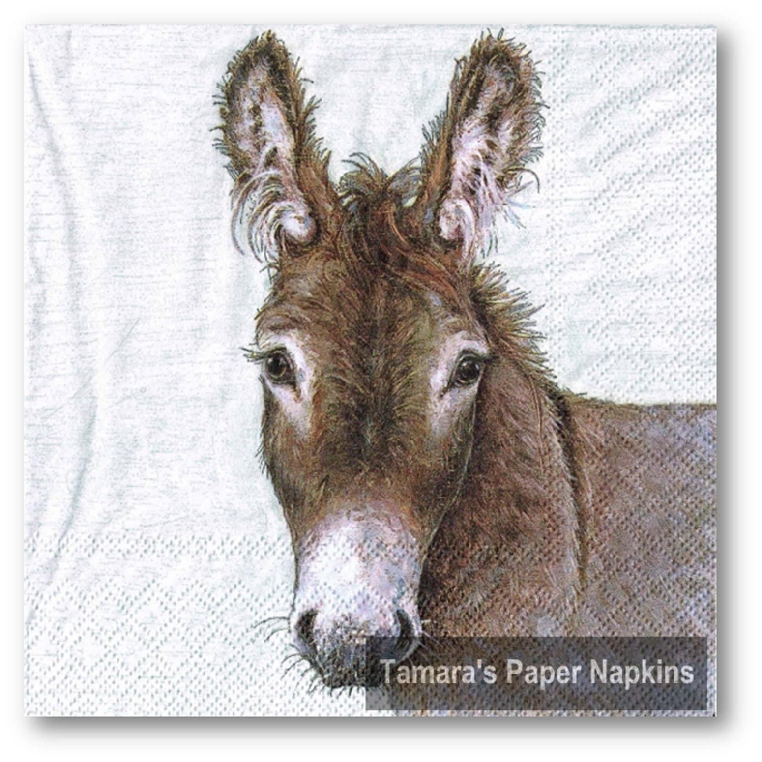 4 Decoupage Napkins YOUNG DONKEY 13 Lunch Napkins. Etsy