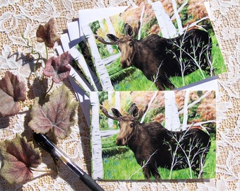 Moose Note Cards, Wildlife Stationary, A Set of 4 Cards