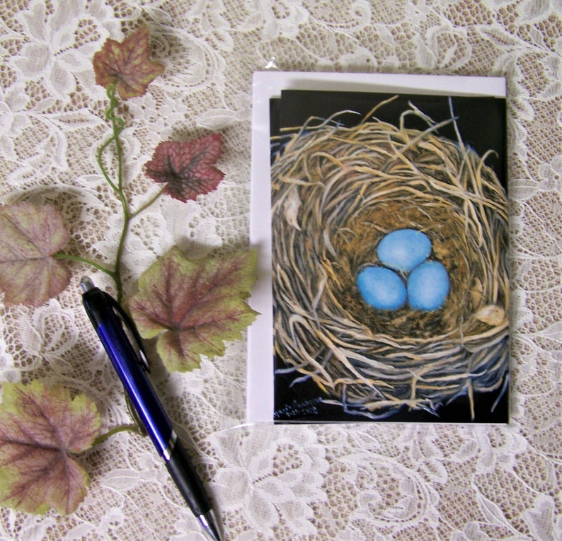 Bird Nest Note Cards Bird Nest Stationary Blank Note Cards - Etsy