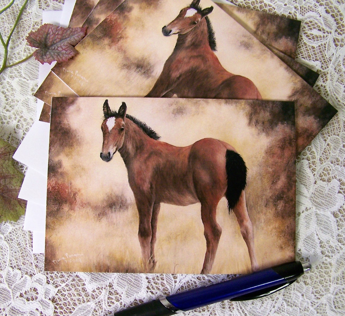Horse Note Cards, Horse Stationary, Blank Note Cards, Set of 4 Cards Etsy