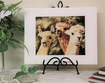 Alpaca Art Print, Farm Animal Art Print, Matted and Signed Art Print 8x10 inch