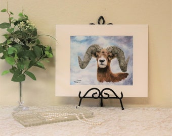 Big Horn Sheep Art Print, Wildlife Art Print, Matted and Signed Art Print 8x10 inch