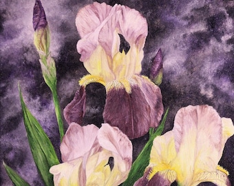 Iris Painting, Floral Painting, Original Oil Painting on Canvas 11in x 14in