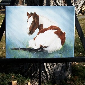May include: A painting of a brown and white horse lying down in a field of green grass. The horse is looking to the left of the image. The painting is signed "Marie Robinson" in the bottom right corner.