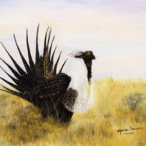 May include: A painting of a Greater Sage Grouse with its tail feathers fanned out. The bird is standing in a field of tall grass. The background is a soft, pastel sky.
