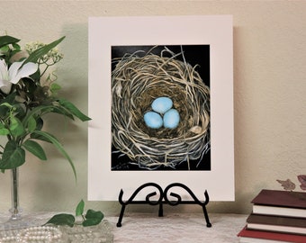 Bird Nest Art Print, Robin Nest Art Print, Matted and Signed Art Print 8x10 inch