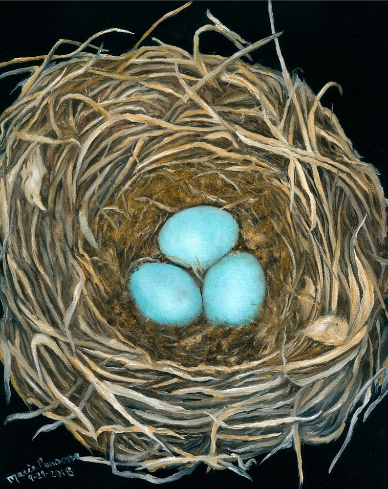Bird Nest Art Print, Robin Nest Art Print, Matted and Signed Art Print
