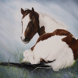 May include: A watercolor painting of a brown and white pinto horse lying down in a field of green grass. The horse's head is turned to the side, and its eyes are closed. The painting is signed by the artist, Marie Parsons, and dated 10-2015.
