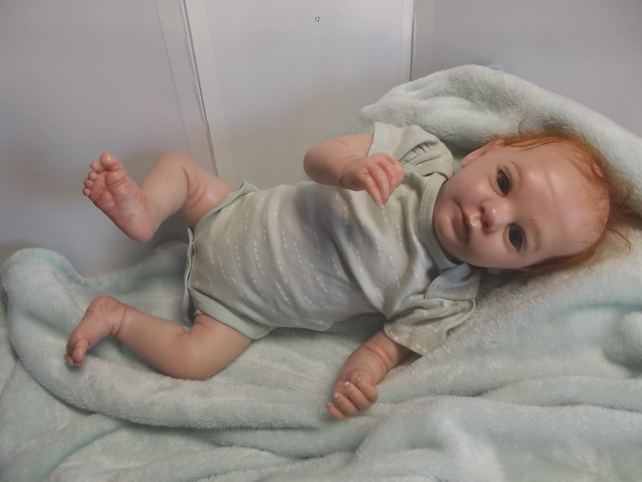 Evan. Reborn Doll - Etsy