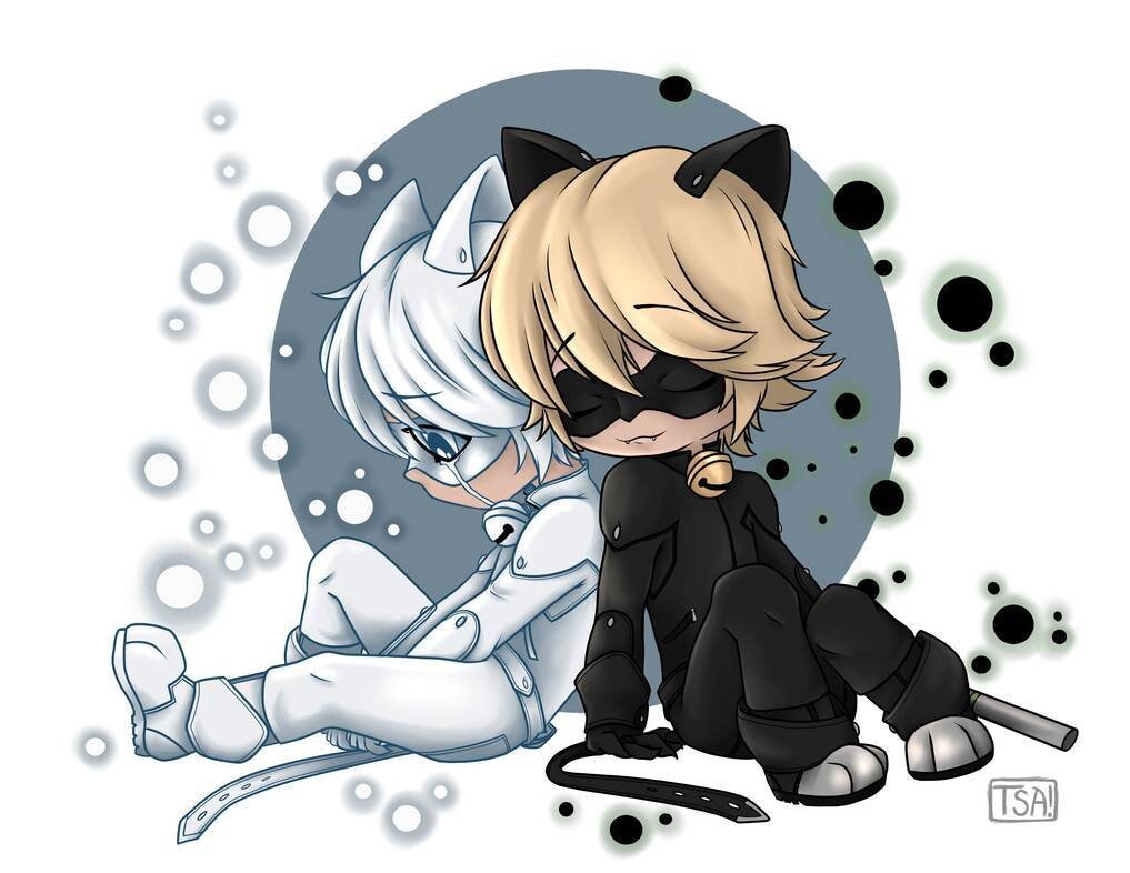 Chat Blanc Chat Noir Etsy