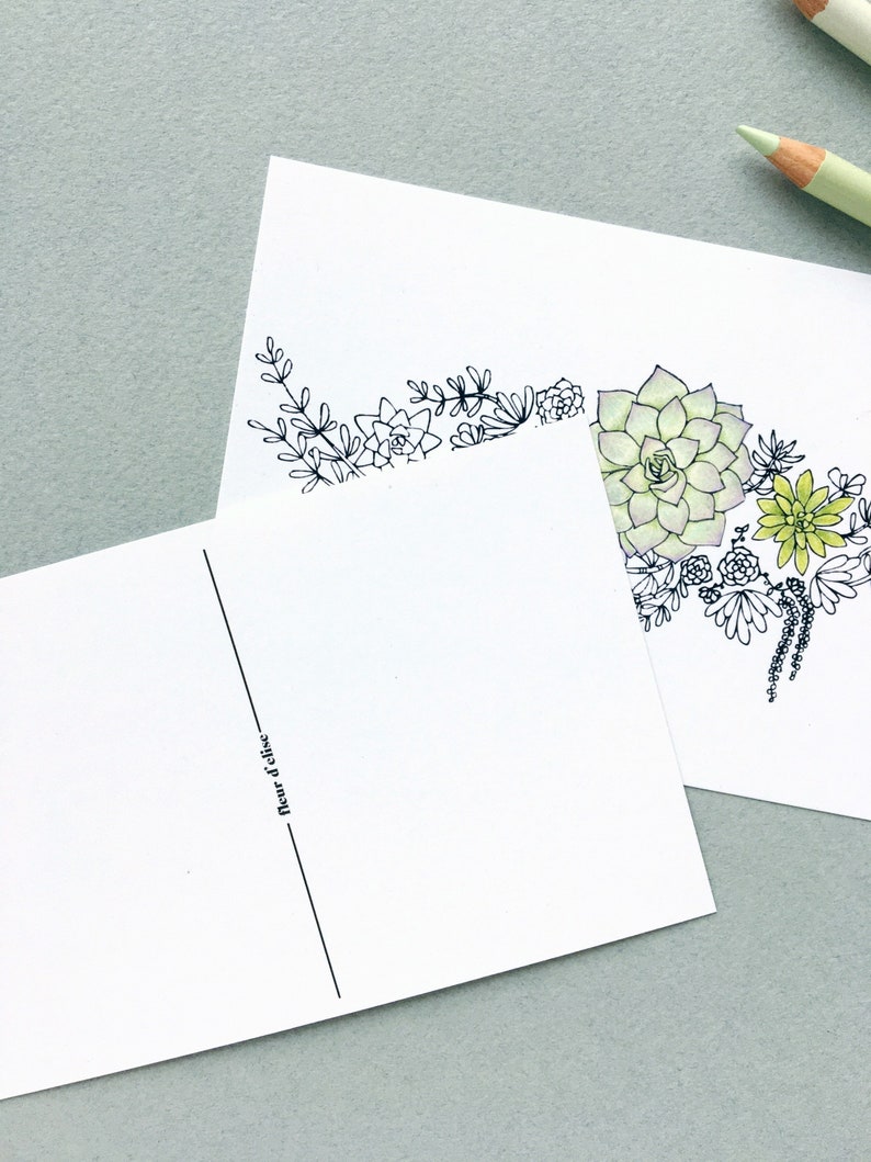 Color Your Own Postcards Greenery Arrangement Stationery Succulent Postcards Set of 6
