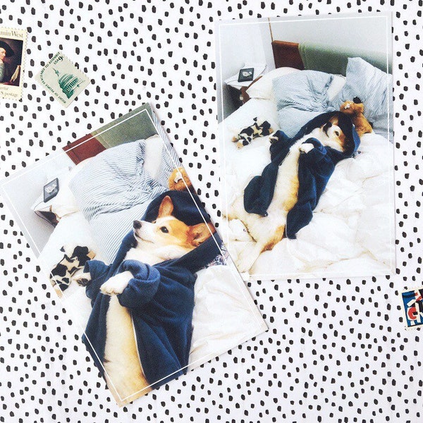 Corgi Postcard Set - Good Boy Lounging in Bed