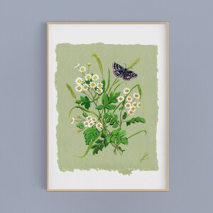 Original Watercolor Daisy Butterfly Painting Floral Feverfew Chamomile Wildflowers Decor Gouache Green Flower Antique Botanical Nursery Kids image 1