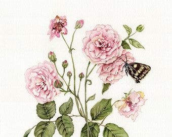 PRINT Rose Watercolor Painting Floral Butterfly Antique Botanical Art Nursery Print Kids Flower Decor Rose poster House gift
