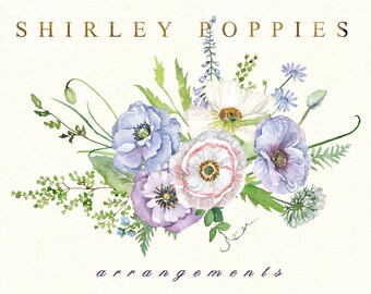 Digital Watercolor California Poppies Flowers Clipart DIY Floral Designs Invitations Boho Wedding Stationery print Scrapbook Wallpaper Logo