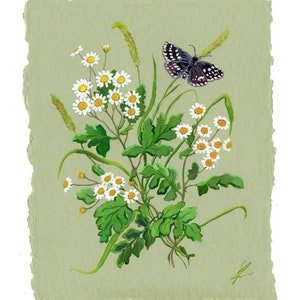 Original Watercolor Daisy Butterfly Painting Floral Feverfew Chamomile Wildflowers Decor Gouache Green Flower Antique Botanical Nursery Kids image 2