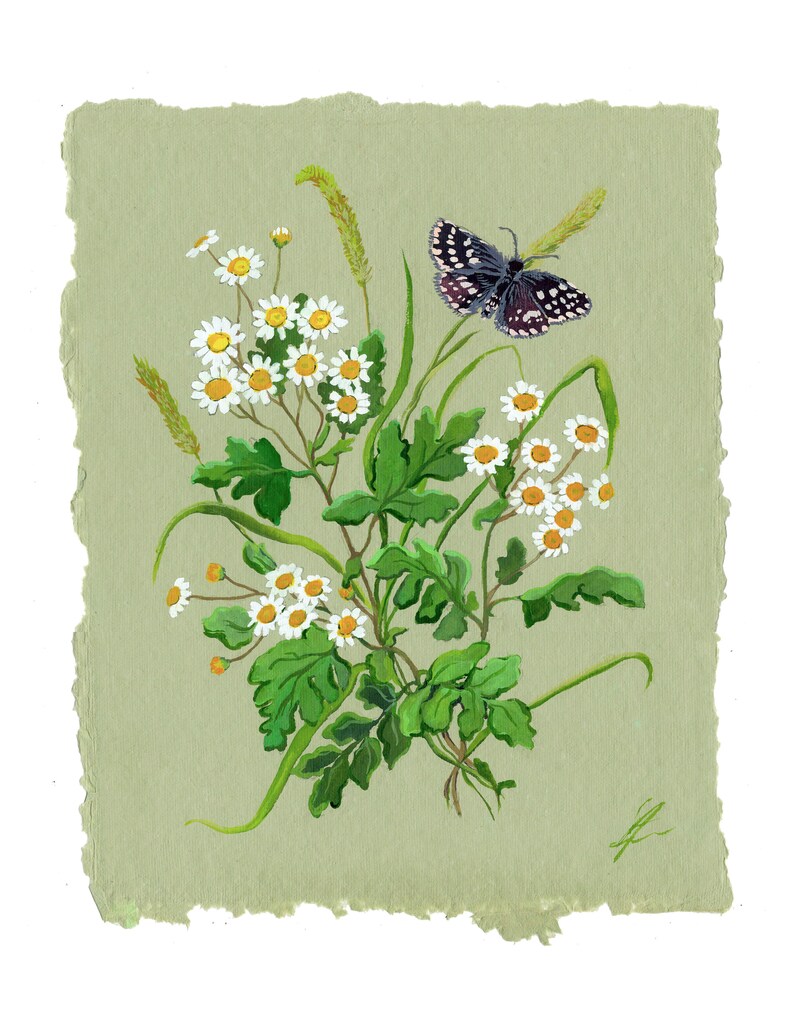 Original Watercolor Daisy Butterfly Painting Floral Feverfew Chamomile Wildflowers Decor Gouache Green Flower Antique Botanical Nursery Kids image 2