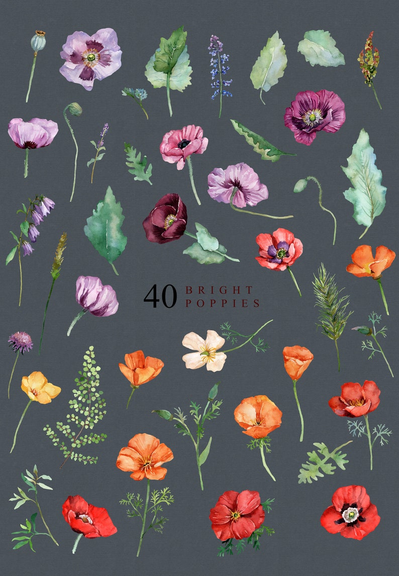 Digital Watercolor California Poppies Flowers Clipart DIY Floral Designs Invitations Boho Wedding Stationery print Scrapbook Wallpaper Logo